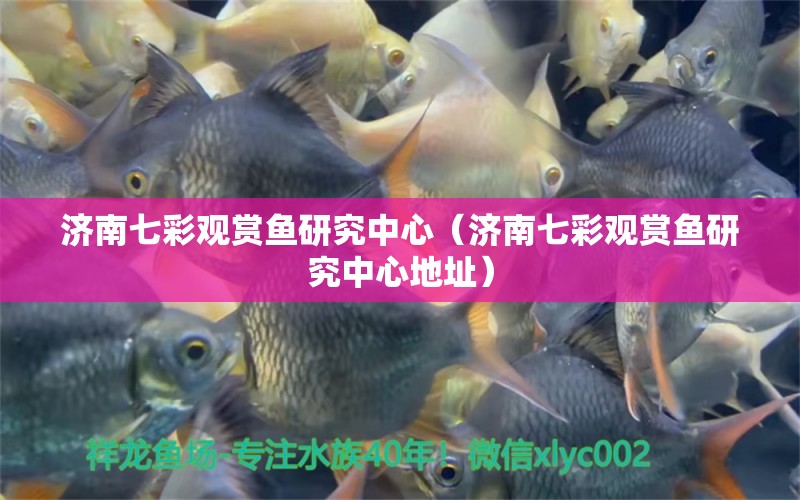 濟南七彩觀賞魚研究中心（濟南七彩觀賞魚研究中心地址）