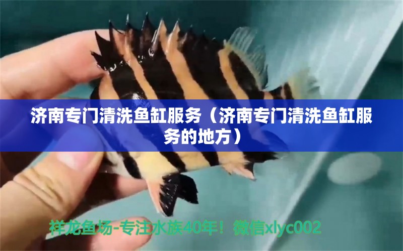 濟南專門清洗魚缸服務（濟南專門清洗魚缸服務的地方） 觀賞魚市場（混養(yǎng)魚）