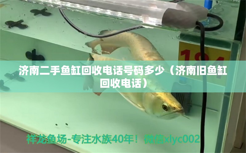 濟(jì)南二手魚缸回收電話號(hào)碼多少（濟(jì)南舊魚缸回收電話）