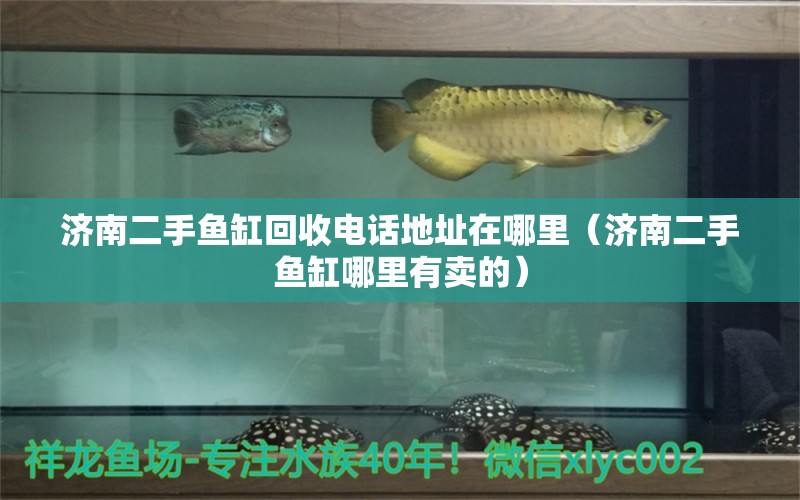 濟(jì)南二手魚缸回收電話地址在哪里（濟(jì)南二手魚缸哪里有賣的）