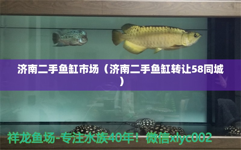 濟(jì)南二手魚(yú)缸市場(chǎng)（濟(jì)南二手魚(yú)缸轉(zhuǎn)讓58同城） 魟魚(yú)相關(guān)