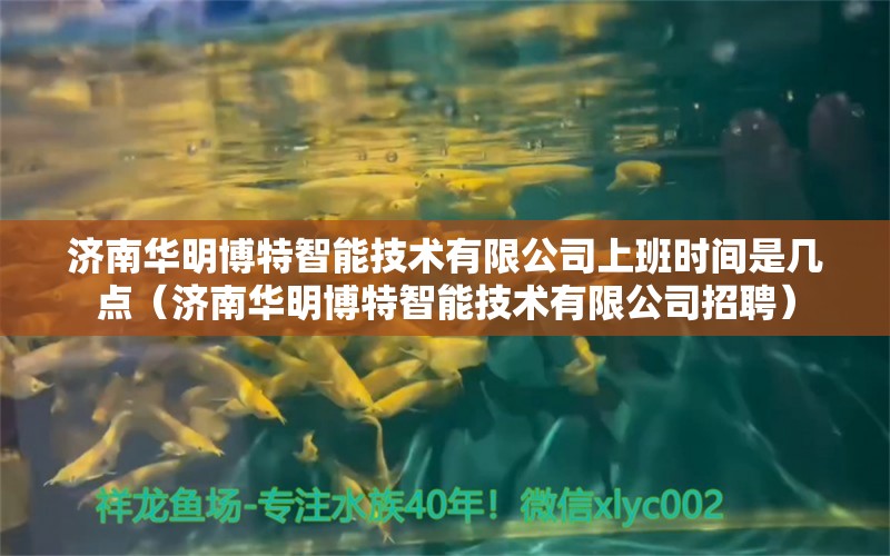 濟南華明博特智能技術有限公司上班時間是幾點（濟南華明博特智能技術有限公司招聘）