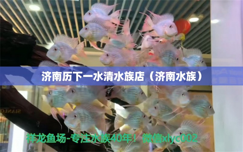 濟(jì)南歷下一水清水族店（濟(jì)南水族）