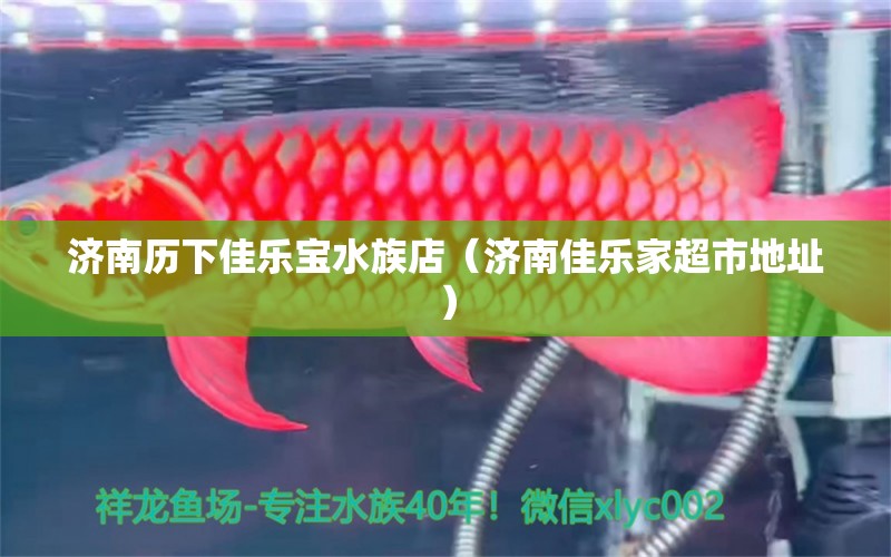 濟(jì)南歷下佳樂寶水族店（濟(jì)南佳樂家超市地址） 全國水族館企業(yè)名錄