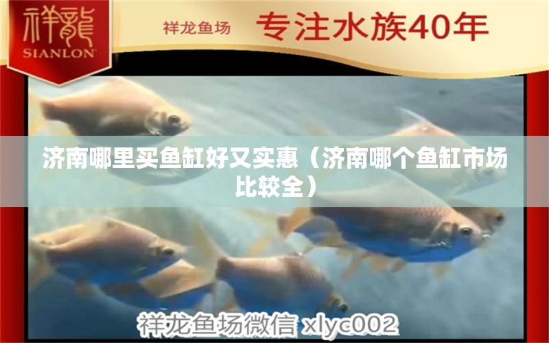 濟南哪里買魚缸好又實惠（濟南哪個魚缸市場比較全）