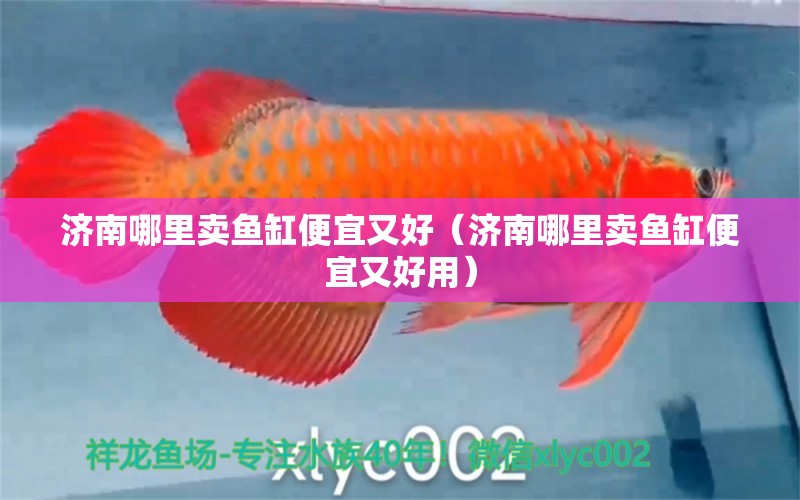 濟南哪里賣魚缸便宜又好（濟南哪里賣魚缸便宜又好用）