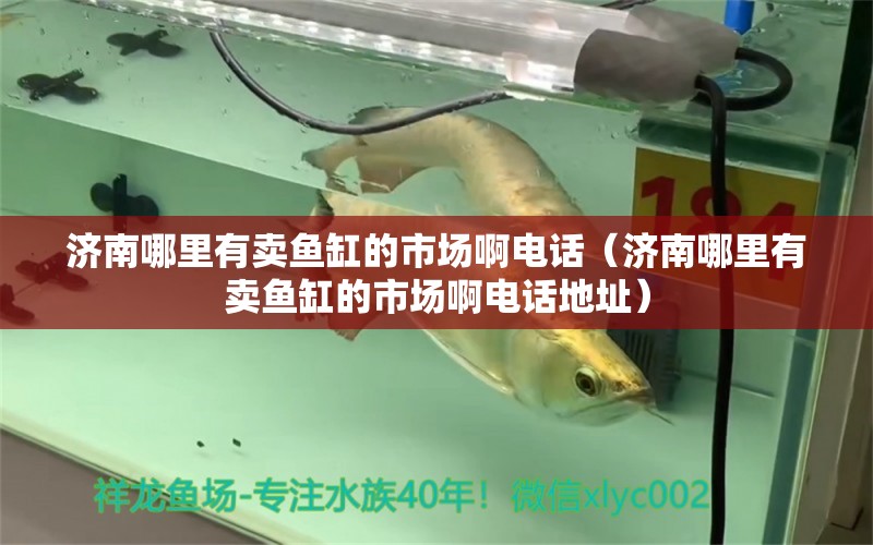 濟南哪里有賣魚缸的市場啊電話（濟南哪里有賣魚缸的市場啊電話地址） 祥龍水族醫(yī)院