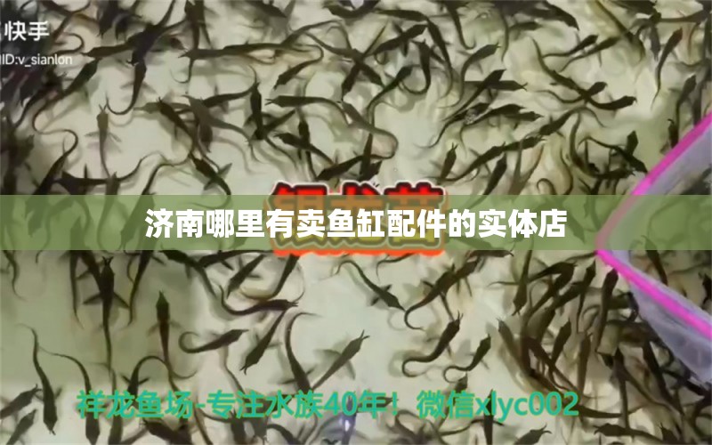 濟(jì)南哪里有賣魚缸配件的實(shí)體店 水族問答 第1張