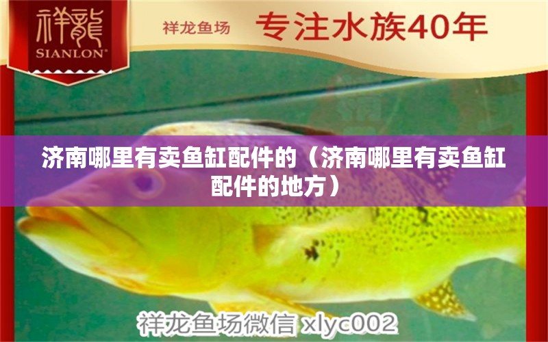 濟(jì)南哪里有賣魚缸配件的（濟(jì)南哪里有賣魚缸配件的地方） 其他品牌魚缸