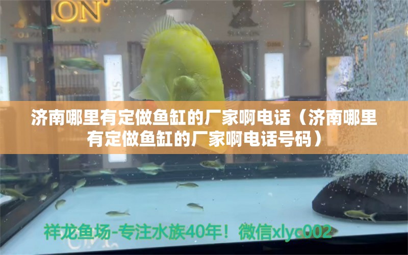 濟南哪里有定做魚缸的廠家啊電話（濟南哪里有定做魚缸的廠家啊電話號碼）