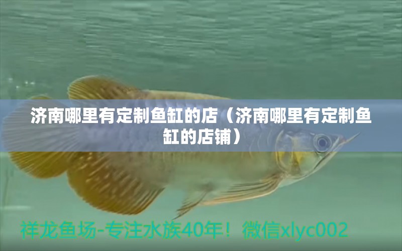 濟(jì)南哪里有定制魚(yú)缸的店（濟(jì)南哪里有定制魚(yú)缸的店鋪）