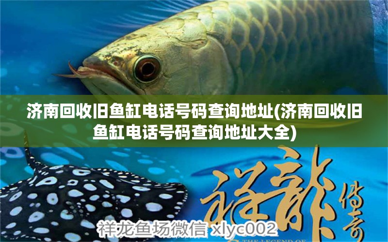 濟(jì)南回收舊魚缸電話號(hào)碼查詢地址(濟(jì)南回收舊魚缸電話號(hào)碼查詢地址大全) 羅漢魚