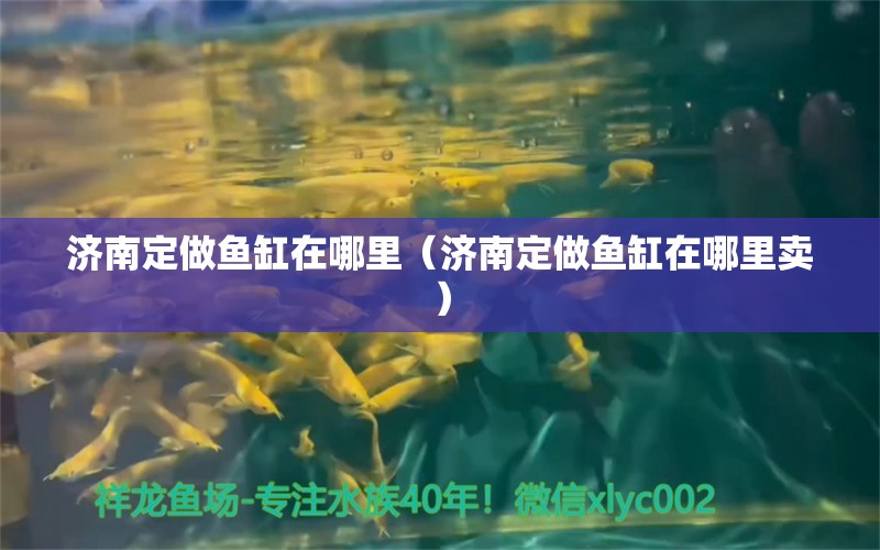 濟南定做魚缸在哪里（濟南定做魚缸在哪里賣）