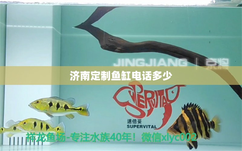 濟(jì)南定制魚缸電話多少