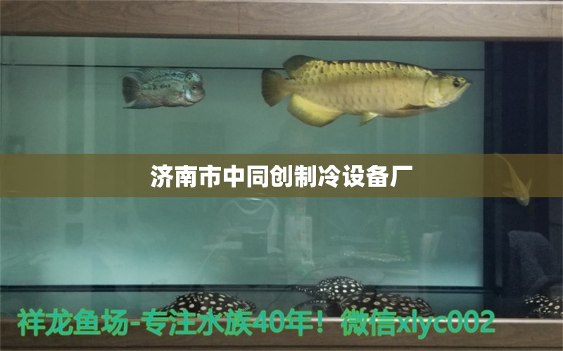 濟(jì)南市中同創(chuàng)制冷設(shè)備廠 全國水族館企業(yè)名錄