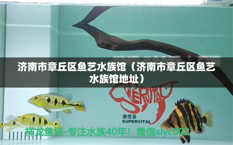 濟(jì)南市章丘區(qū)魚藝水族館（濟(jì)南市章丘區(qū)魚藝水族館地址）