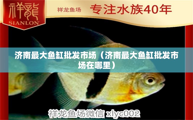 濟(jì)南最大魚缸批發(fā)市場(chǎng)（濟(jì)南最大魚缸批發(fā)市場(chǎng)在哪里）