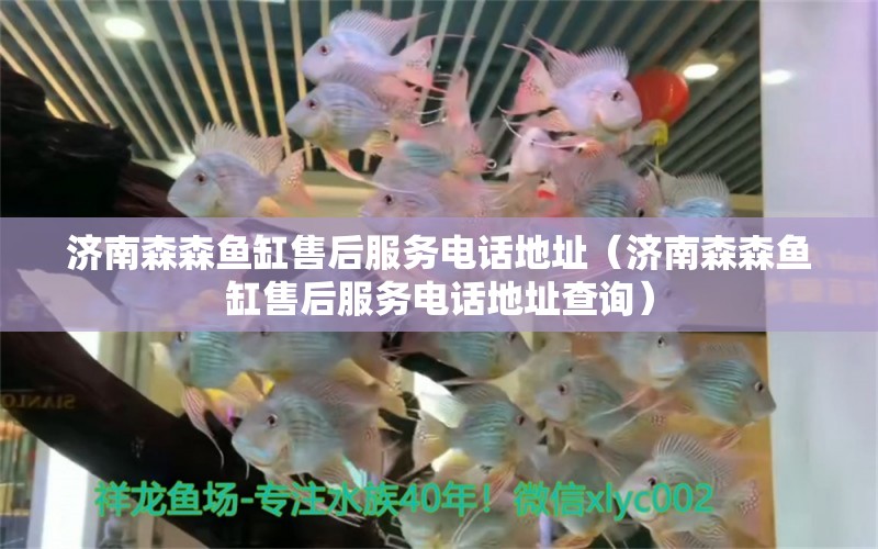 濟(jì)南森森魚缸售后服務(wù)電話地址（濟(jì)南森森魚缸售后服務(wù)電話地址查詢）