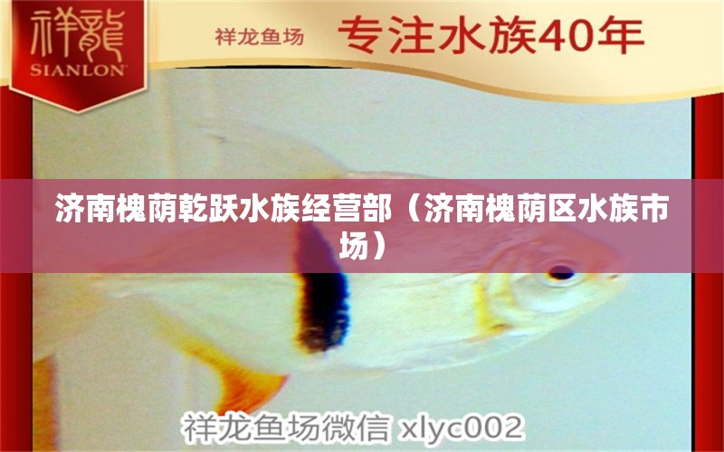 濟(jì)南槐蔭乾躍水族經(jīng)營(yíng)部（濟(jì)南槐蔭區(qū)水族市場(chǎng)） 全國(guó)水族館企業(yè)名錄