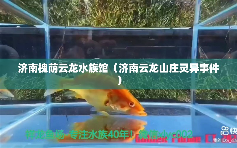 濟(jì)南槐蔭云龍水族館（濟(jì)南云龍山莊靈異事件）