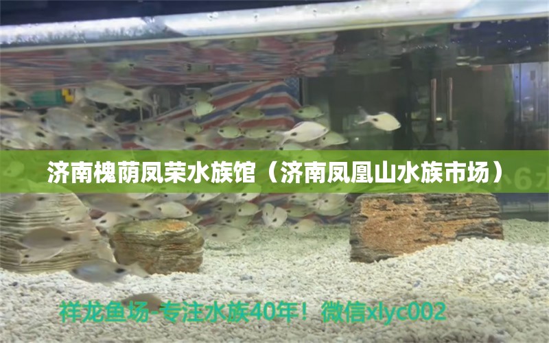 濟南槐蔭鳳榮水族館（濟南鳳凰山水族市場）