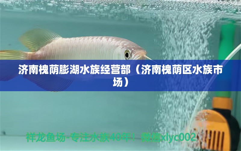 濟(jì)南槐蔭膨湖水族經(jīng)營部（濟(jì)南槐蔭區(qū)水族市場） 全國水族館企業(yè)名錄