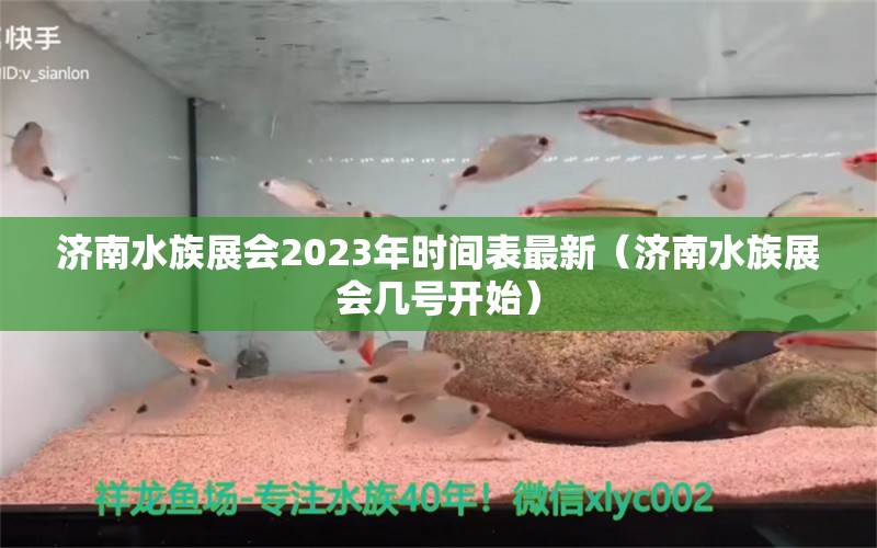 濟(jì)南水族展會2023年時間表最新（濟(jì)南水族展會幾號開始） 水族展會