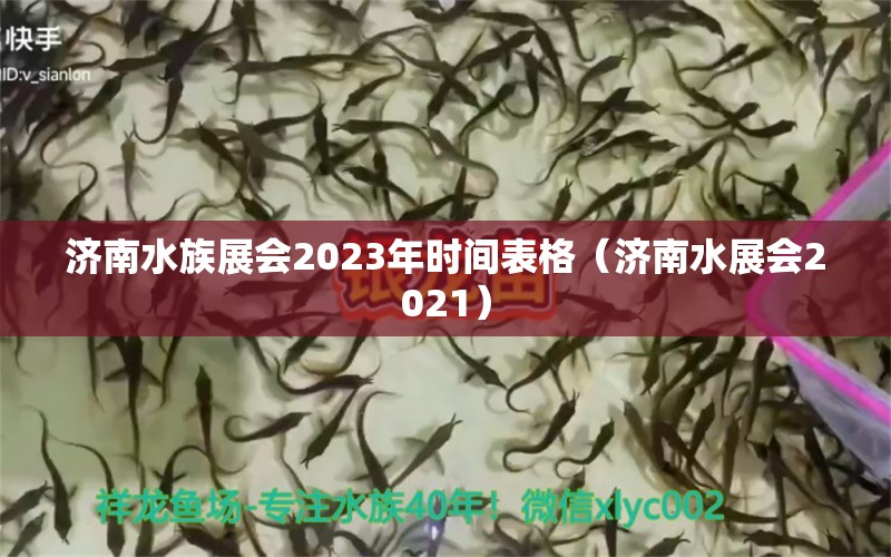 濟(jì)南水族展會(huì)2023年時(shí)間表格（濟(jì)南水展會(huì)2021）