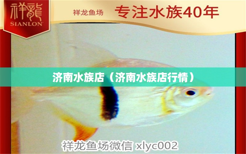 濟(jì)南水族店（濟(jì)南水族店行情） 觀賞魚市場