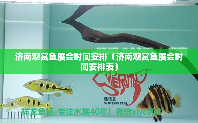 濟南觀賞魚展會時間安排（濟南觀賞魚展會時間安排表）