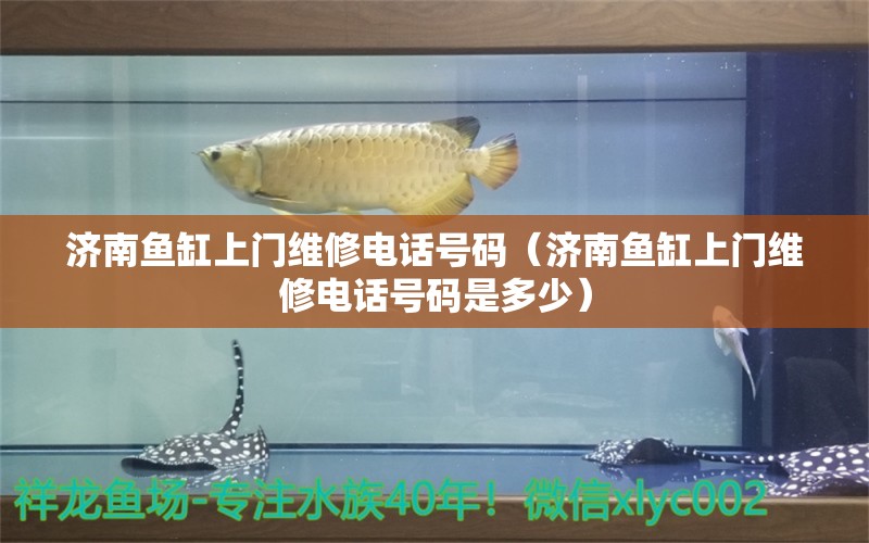 濟(jì)南魚缸上門維修電話號碼（濟(jì)南魚缸上門維修電話號碼是多少）