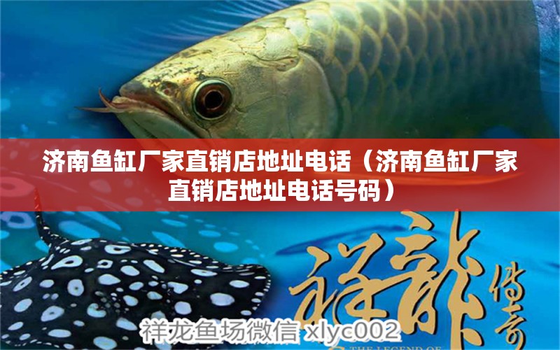 濟(jì)南魚缸廠家直銷店地址電話（濟(jì)南魚缸廠家直銷店地址電話號(hào)碼） 細(xì)線銀版魚