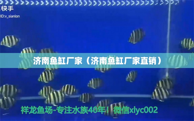 濟南魚缸廠家（濟南魚缸廠家直銷）