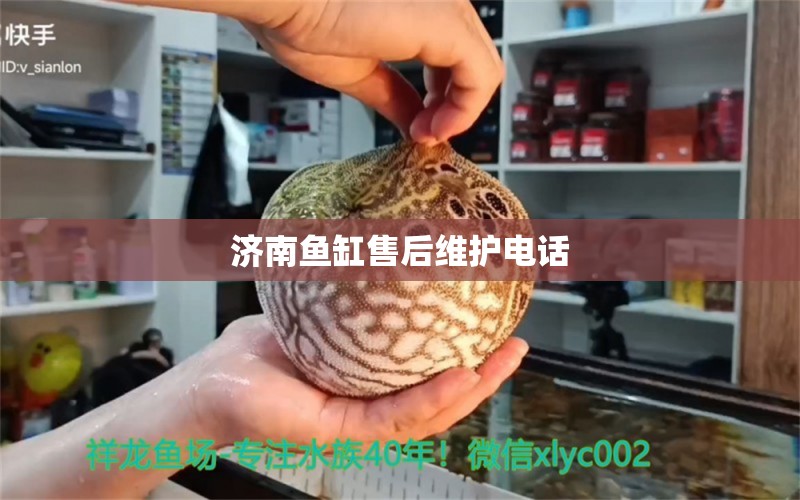 濟南魚缸售后維護電話