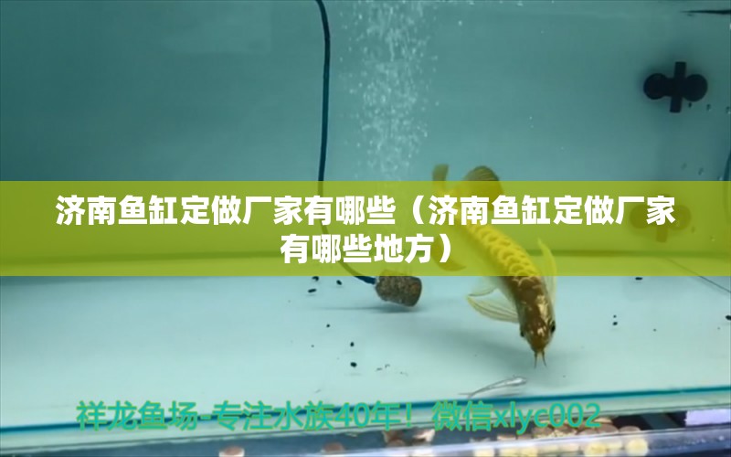 濟(jì)南魚(yú)缸定做廠家有哪些（濟(jì)南魚(yú)缸定做廠家有哪些地方）