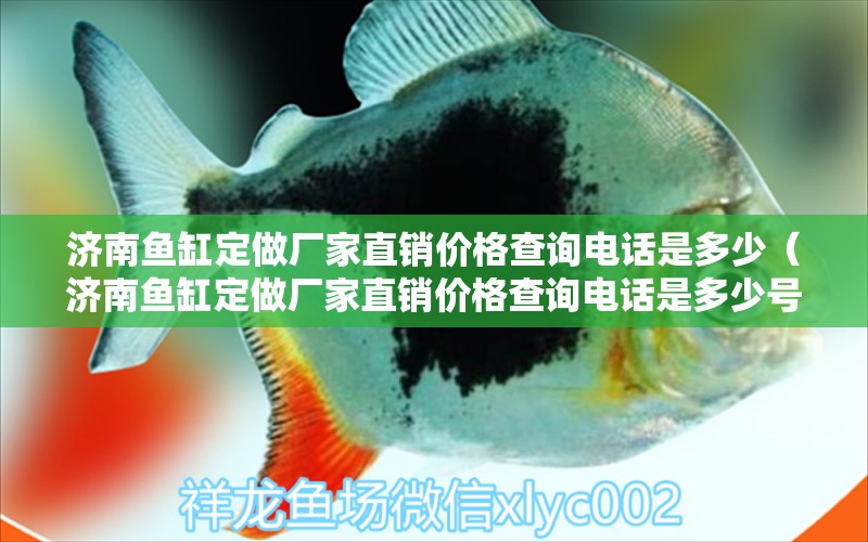 濟南魚缸定做廠家直銷價格查詢電話是多少（濟南魚缸定做廠家直銷價格查詢電話是多少號）