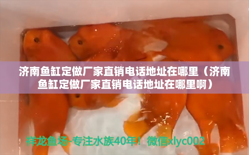 濟南魚缸定做廠家直銷電話地址在哪里（濟南魚缸定做廠家直銷電話地址在哪里?。? title=