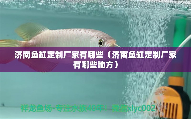 濟南魚缸定制廠家有哪些（濟南魚缸定制廠家有哪些地方）