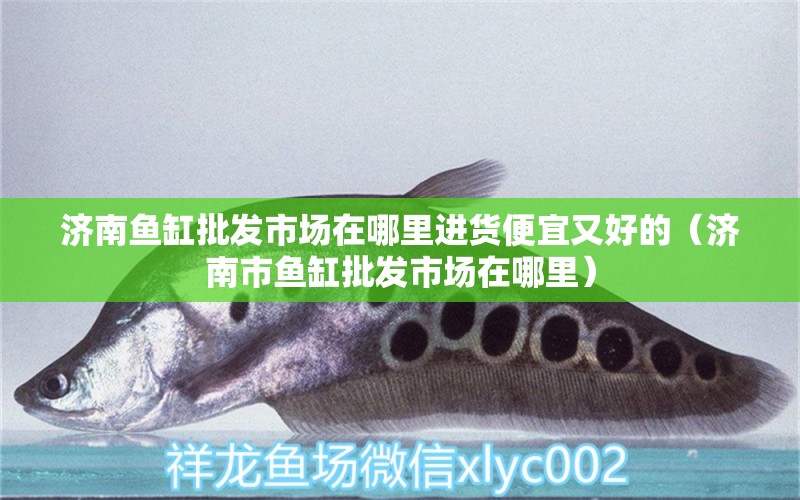 濟南魚缸批發(fā)市場在哪里進貨便宜又好的（濟南市魚缸批發(fā)市場在哪里）