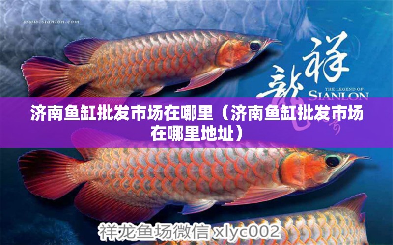 濟南魚缸批發(fā)市場在哪里（濟南魚缸批發(fā)市場在哪里地址）