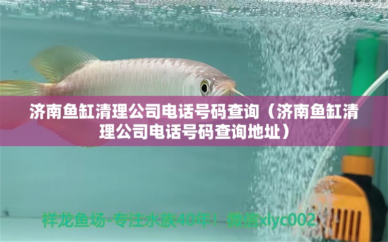 濟南魚缸清理公司電話號碼查詢（濟南魚缸清理公司電話號碼查詢地址）