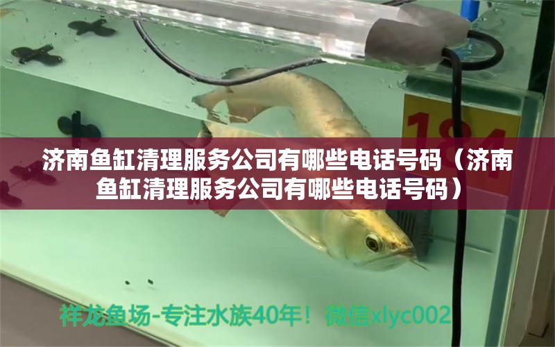 濟(jì)南魚缸清理服務(wù)公司有哪些電話號(hào)碼（濟(jì)南魚缸清理服務(wù)公司有哪些電話號(hào)碼）