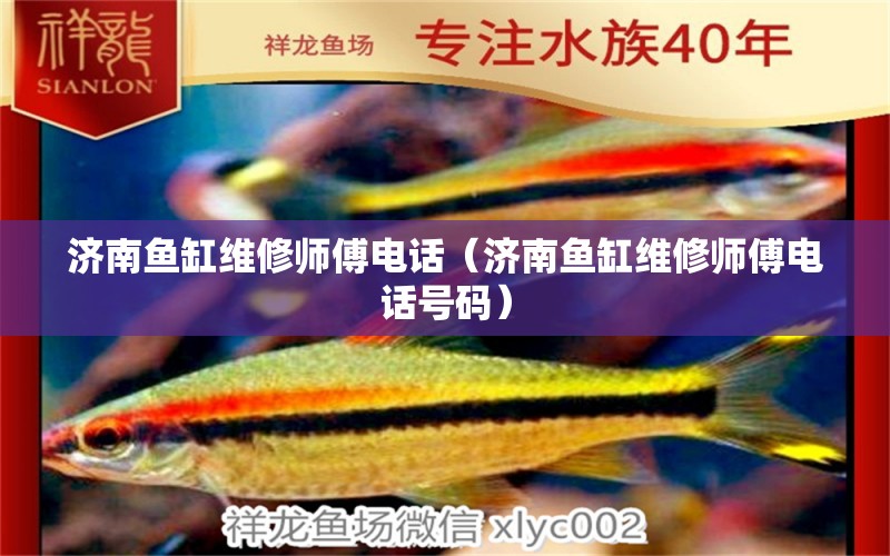 濟(jì)南魚缸維修師傅電話（濟(jì)南魚缸維修師傅電話號(hào)碼） 其他品牌魚缸