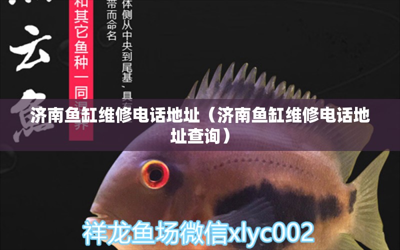 濟(jì)南魚(yú)缸維修電話地址（濟(jì)南魚(yú)缸維修電話地址查詢） 其他品牌魚(yú)缸