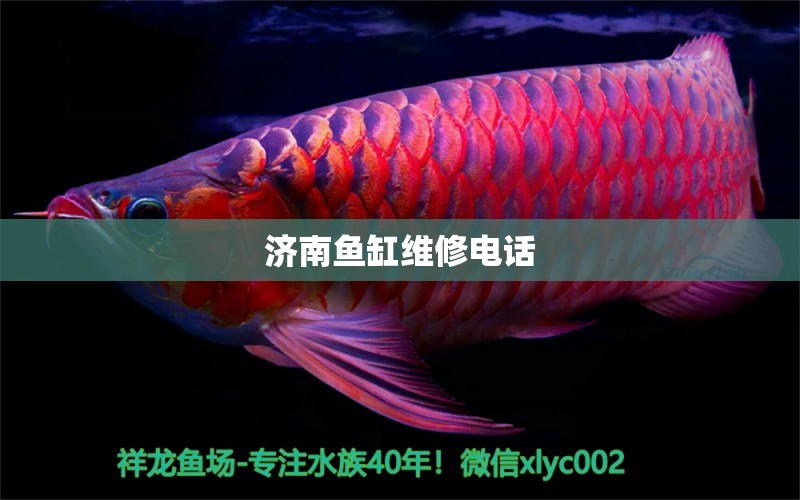 濟(jì)南魚(yú)缸維修電話(huà)