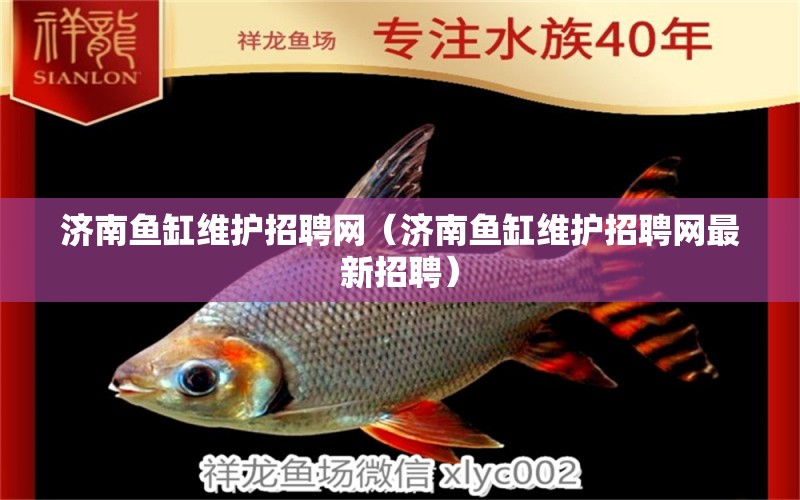 濟南魚缸維護招聘網(wǎng)（濟南魚缸維護招聘網(wǎng)最新招聘）