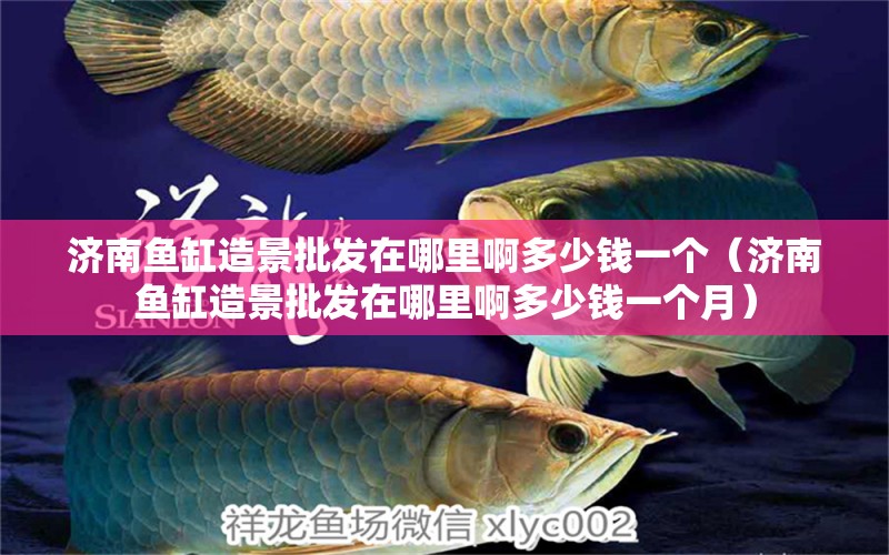 濟南魚缸造景批發(fā)在哪里啊多少錢一個（濟南魚缸造景批發(fā)在哪里啊多少錢一個月） iwish愛唯希品牌魚缸