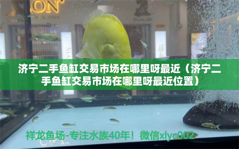 濟寧二手魚缸交易市場在哪里呀最近（濟寧二手魚缸交易市場在哪里呀最近位置）