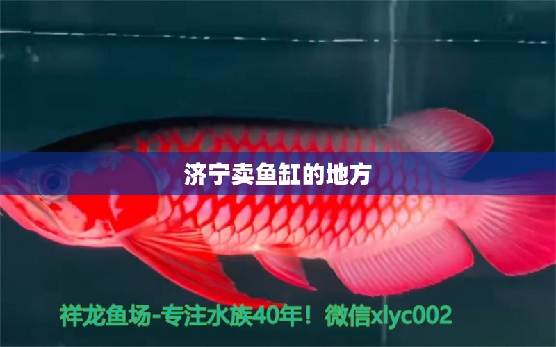 濟(jì)寧賣魚缸的地方 其他品牌魚缸