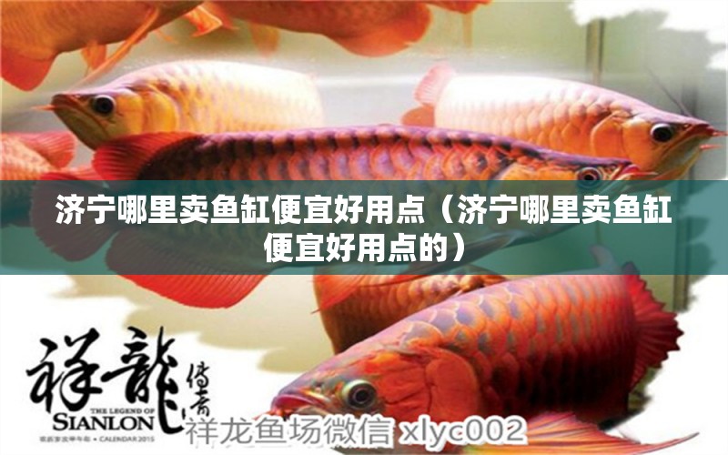 濟寧哪里賣魚缸便宜好用點（濟寧哪里賣魚缸便宜好用點的） 黑水素